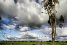 天涯社区安徽站真暖心！网友互相倾诉烦恼解闷又能找路子