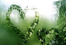 天涯社区地址一二一的秘密探寻