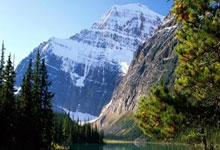 天涯社区和天涯论坛：一个网上的大家庭