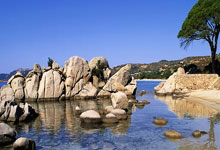 天涯社区在哪里？